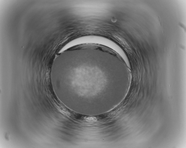 X0000095520409200712281504