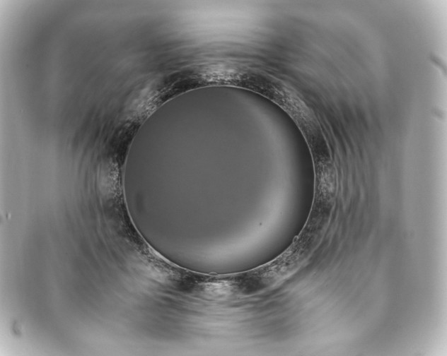 X0000095520411200712281504