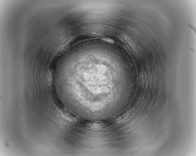 X0000095520412200712281504