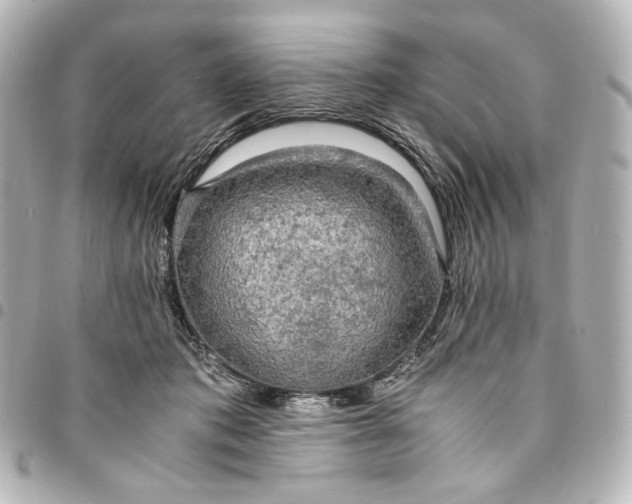 X0000095520413200712281504