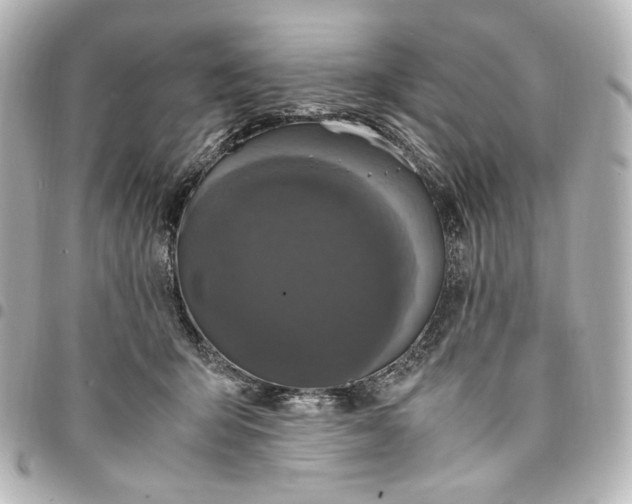 X0000095520415200712281504