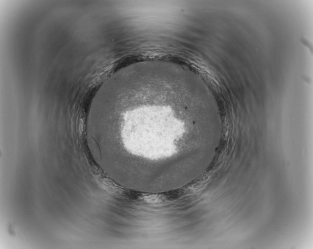 X0000095520417200712281504