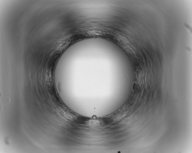 X0000095520418200712281504