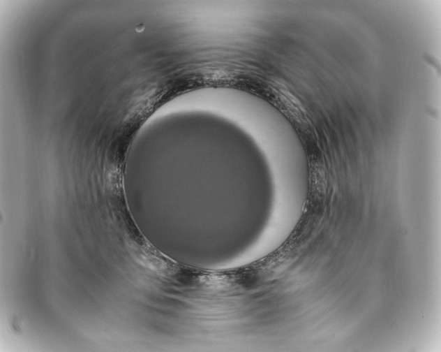 X0000095520419200712281504