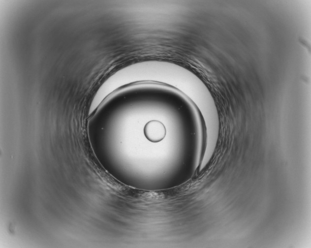 X0000095520421200712281504