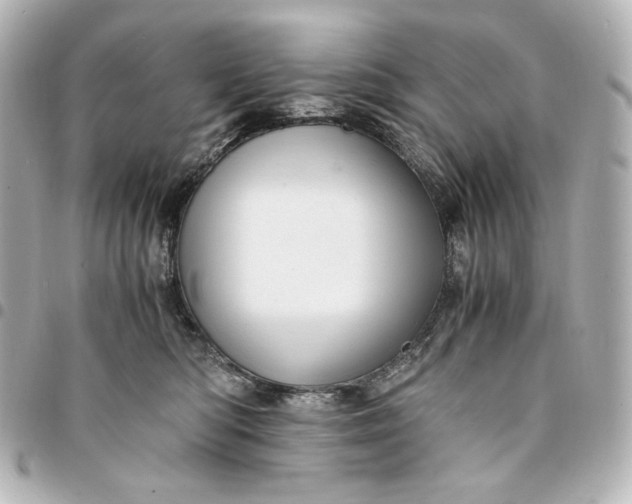 X0000095520422200712281504