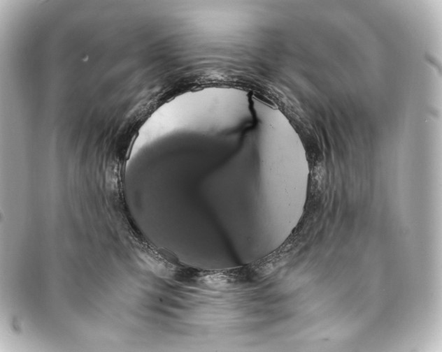 X0000095520423200712281504