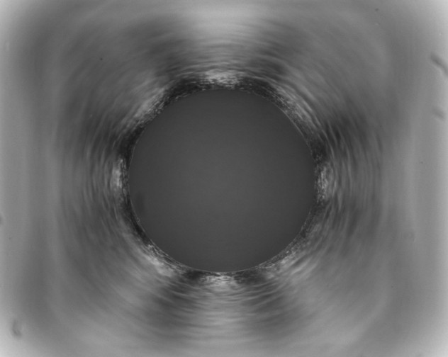 X0000095520424200712281504