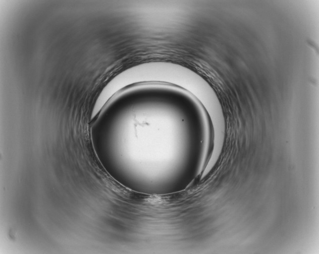 X0000095520425200712281504