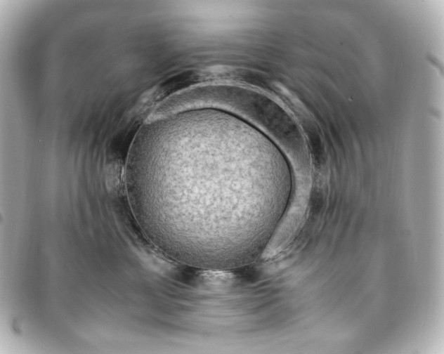 X0000095520429200712281504