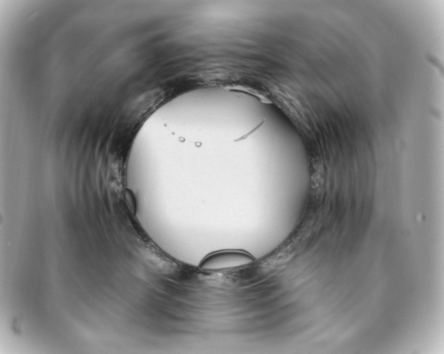 X0000095520430200712281504