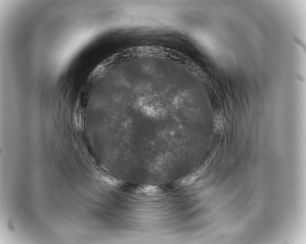 X0000095520431200712281504