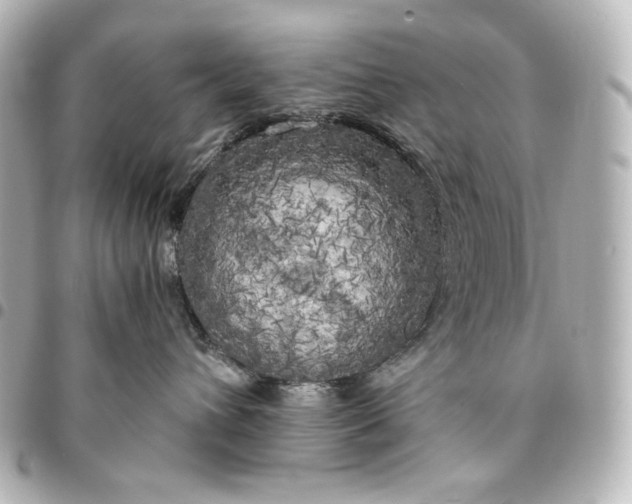 X0000095520432200712281504