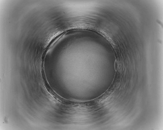 X0000095520434200712281503