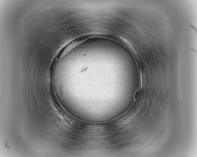 X0000095520435200712281503