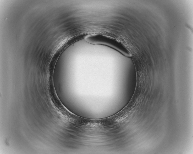 X0000095520440200712281503