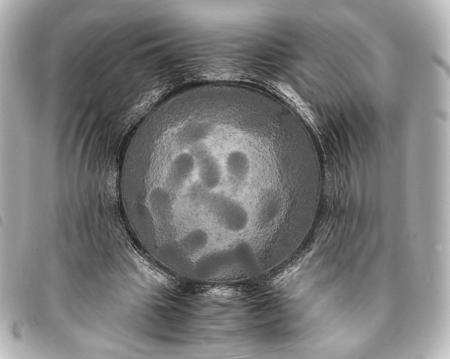 X0000095520441200712281503