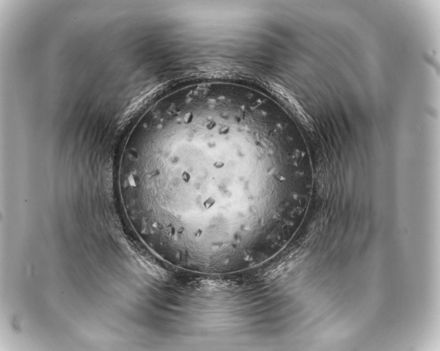 X0000095520442200712281503