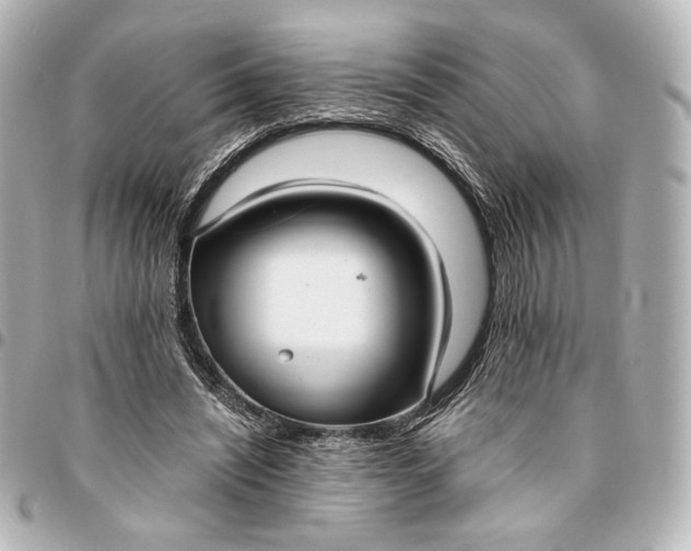 X0000095520444200712281503