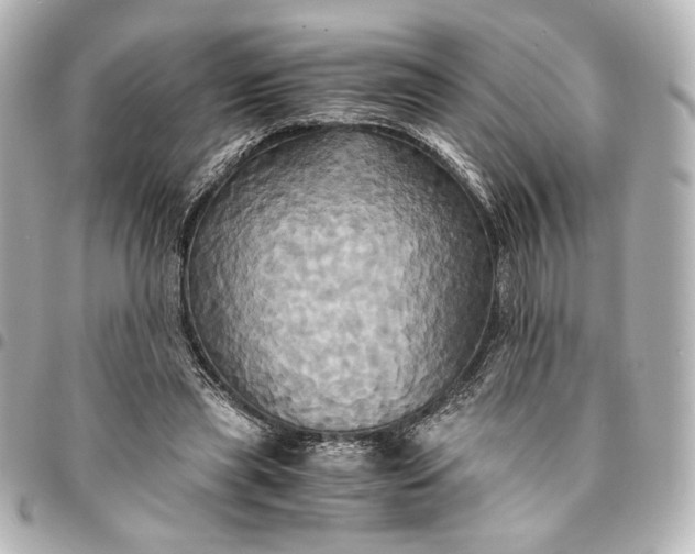 X0000095520445200712281503