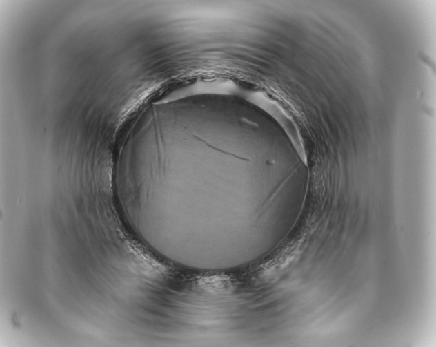 X0000095520446200712281503