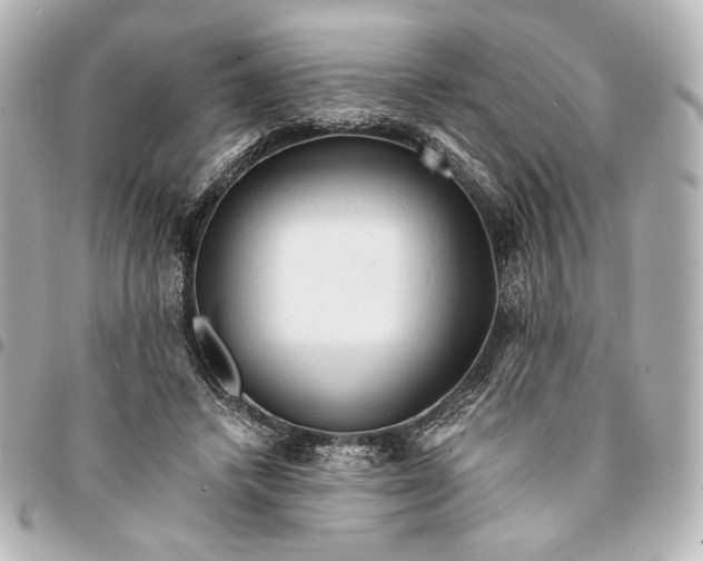 X0000095520448200712281503