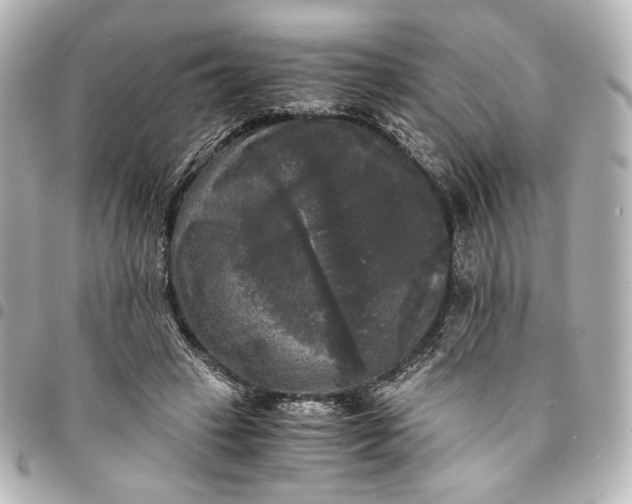 X0000095520449200712281503