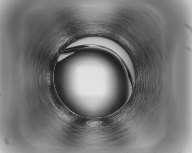 X0000095520452200712281503