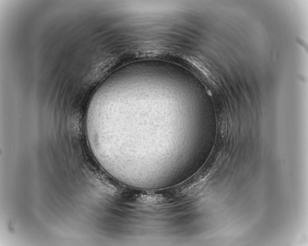 X0000095520455200712281503