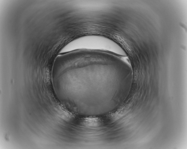 X0000095520457200712281503