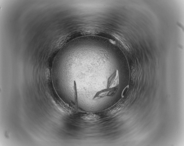 X0000095520459200712281503