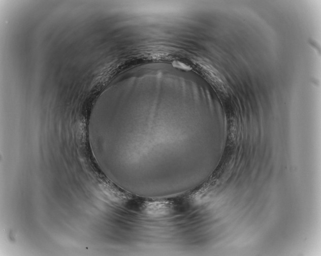 X0000095520461200712281503