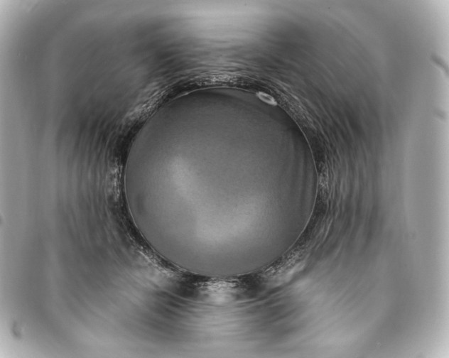 X0000095520462200712281503