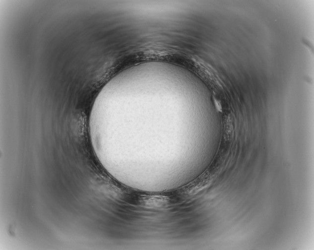 X0000095520463200712281503