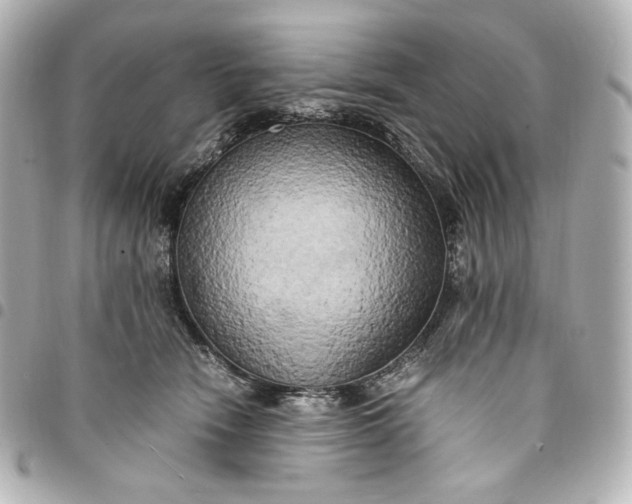 X0000095520466200712281504