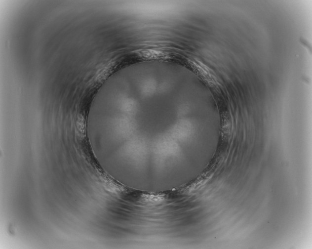 X0000095520469200712281504