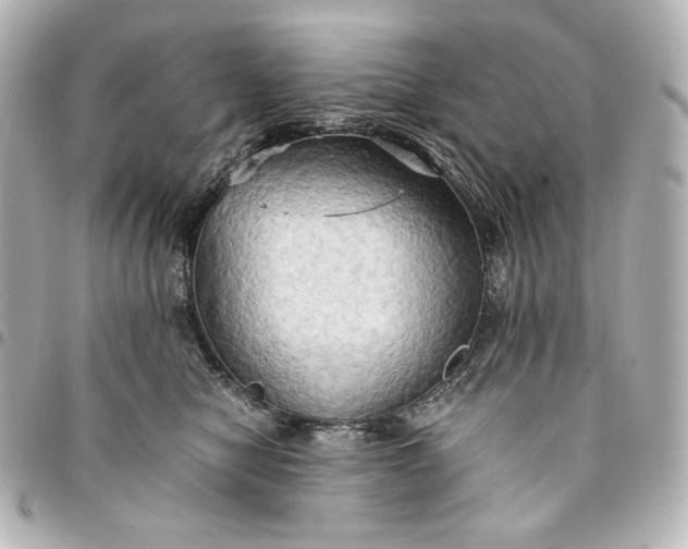 X0000095520470200712281504