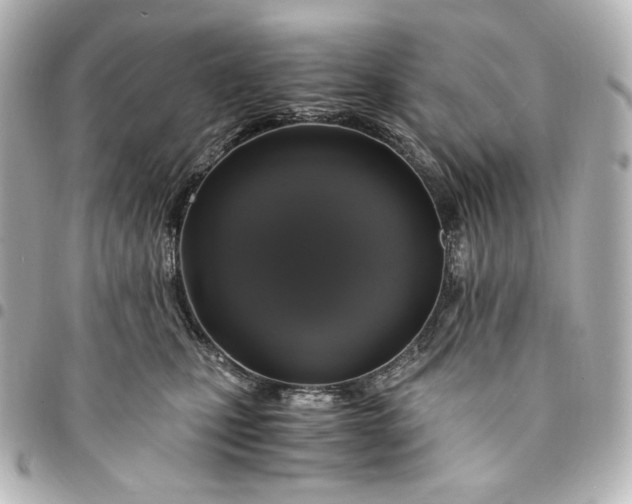 X0000095520471200712281504