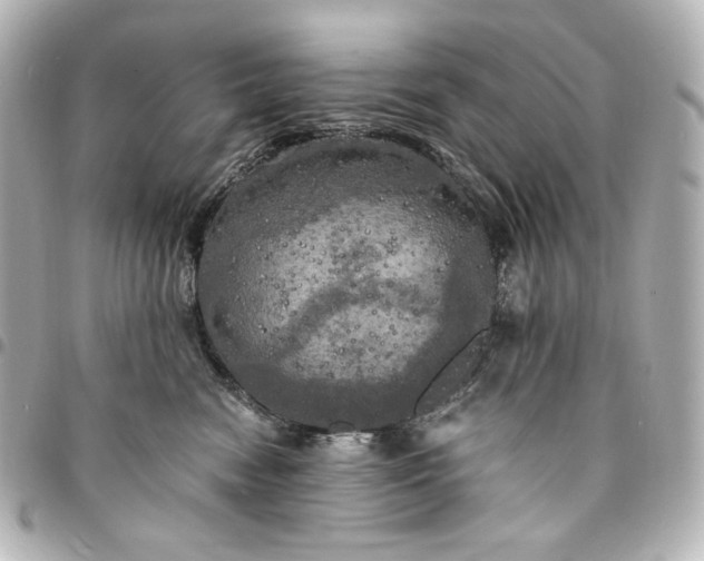 X0000095520474200712281504