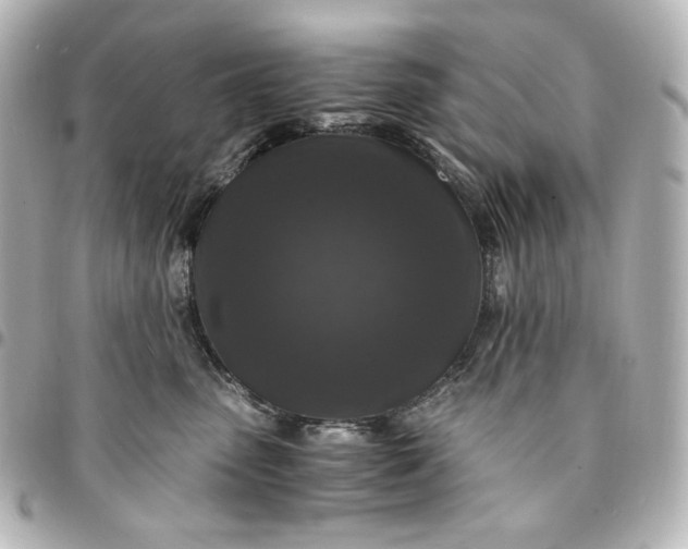 X0000095520475200712281504