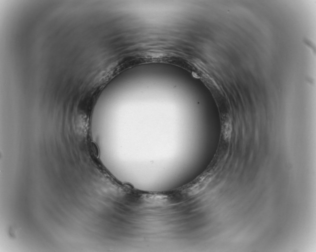 X0000095520476200712281504