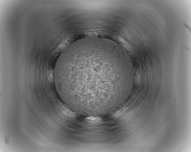 X0000095520477200712281504