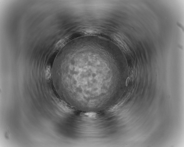 X0000095520478200712281504