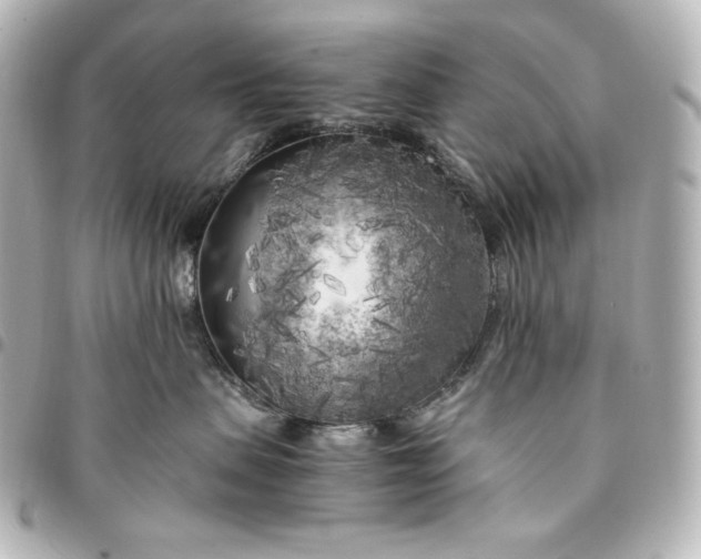 X0000095520479200712281504