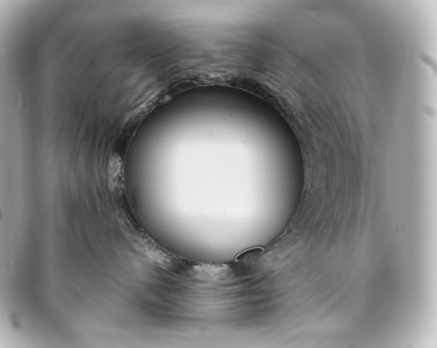 X0000095520480200712281504