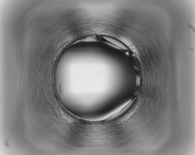 X0000095520481200712281503