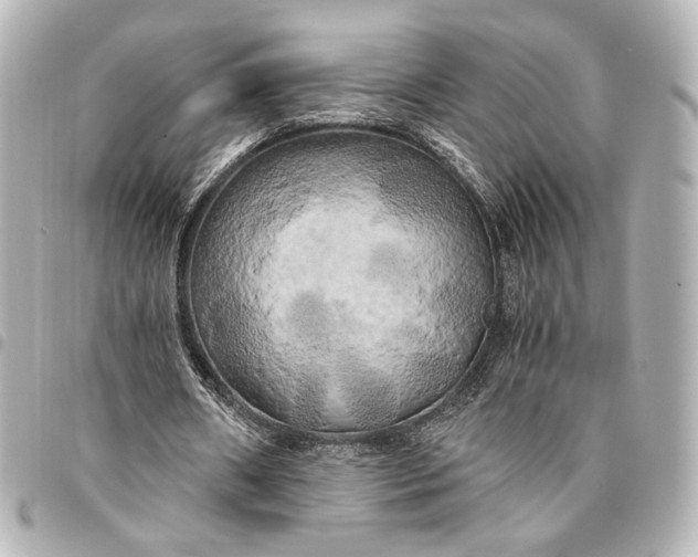 X0000095520482200712281503