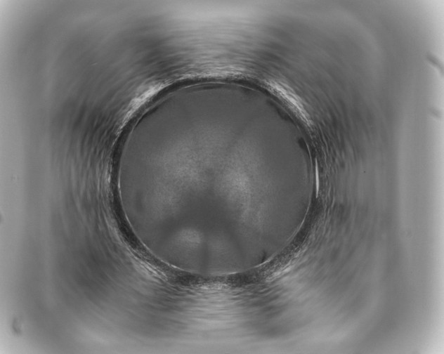 X0000095520483200712281503