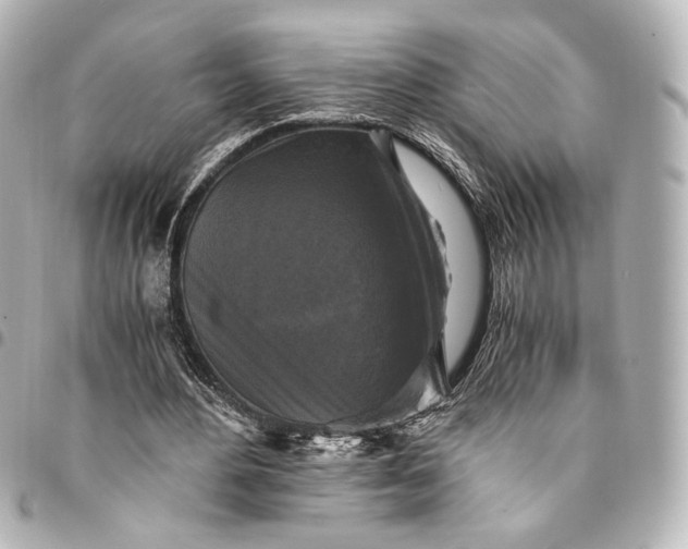 X0000095520484200712281503