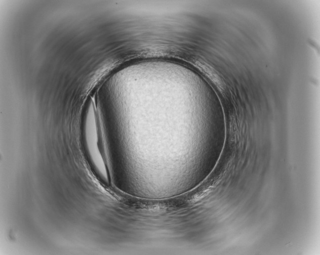 X0000095520485200712281503